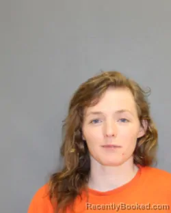 Mugshot of SAMANTHA J CONKLIN booked in Seneca County, New York on May 5, 2026