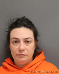 Mugshot of KRISTINA M CIACCIA booked in Seneca County, New York on May 6, 2026