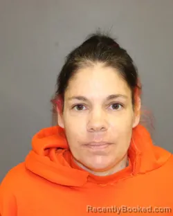 Mugshot of JILL A BARLOW booked in Seneca County, New York on May 8, 2026