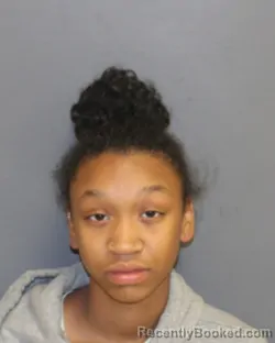 Mugshot of LAMYJAH A. FOWLER booked in Seneca County, New York on June 3, 2026