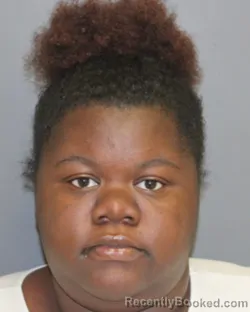 Mugshot of MEIAH J JOHNSON-DANZEY booked in Seneca County, New York on June 18, 2026