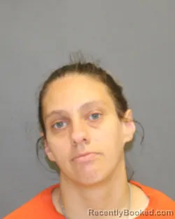 Mugshot of LINSEY R CLELAND booked in Seneca County, New York on June 22, 2026