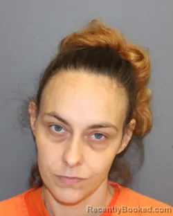 Mugshot of TONYA CHERYL HENRY booked in Seneca County, New York on July 10, 2026