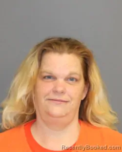Mugshot of LAURA L HENDRICKSON booked in Seneca County, New York on July 14, 2026