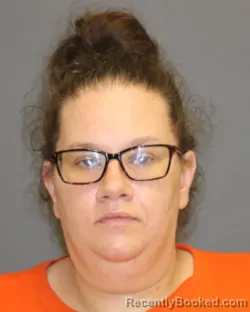 Mugshot of AMBER L HARRIS booked in Seneca County, New York on July 29, 2026