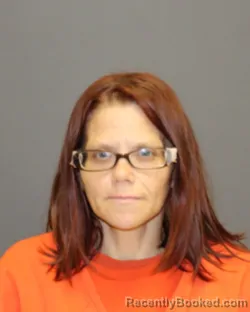 Mugshot of BETTYANN WALKER booked in Seneca County, New York on July 29, 2026