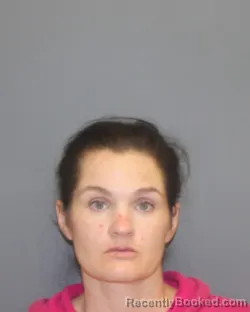 Mugshot of Sadie C Williams booked in Seneca County, New York on August 23, 2026
