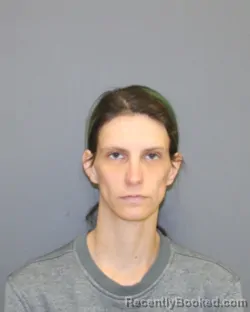 Mugshot of Amber R Lichy booked in Seneca County, New York on October 8, 2026