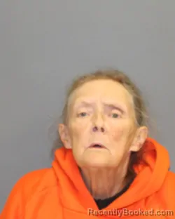 Mugshot of Cristi K Gardner booked in Seneca County, New York on October 15, 2026