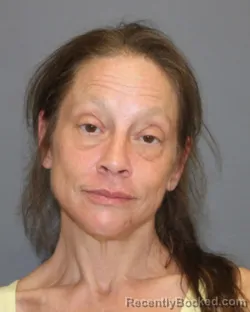 Mugshot of Kristie Lynn Pontius booked in Seneca County, New York on August 20, 2026