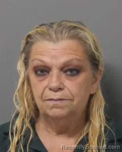 Mugshot of TERRI LYNN CARL booked in Steuben County, New York on July 7, 2026