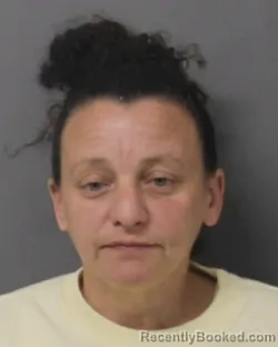 Mugshot of BRIDGET LORETTA BEAVER booked in Steuben County, New York on April 20, 2026