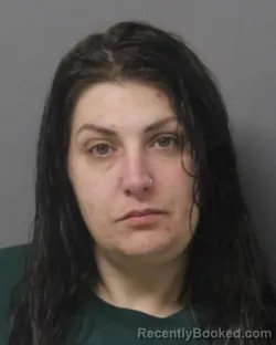 Mugshot of AMANDA JO BURDICK booked in Steuben County, New York on April 15, 2026