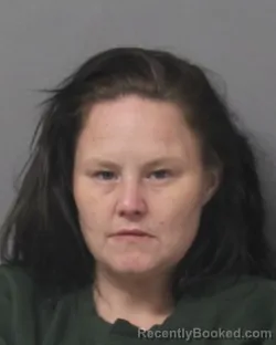 Mugshot of STEPHANIE LYNETTE LOUIZ booked in Steuben County, New York on April 27, 2026