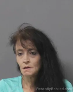 Mugshot of Tracey Lynn Borman booked in Steuben County, New York on August 20, 2026