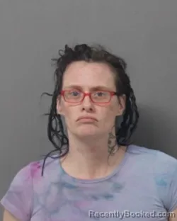 Mugshot of HEATHER LYNN BAKER