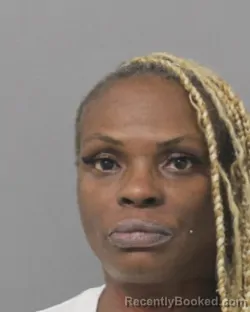 Mugshot of TINESHA LAFAYE LEE booked in Steuben County, New York on June 29, 2026