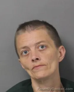 Mugshot of GAYLA MARIE CORNISH booked in Steuben County, New York on June 13, 2026