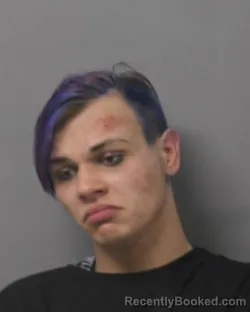 Mugshot of DUSTIN FREDERICK SLY booked in Steuben County, New York on April 1, 2026