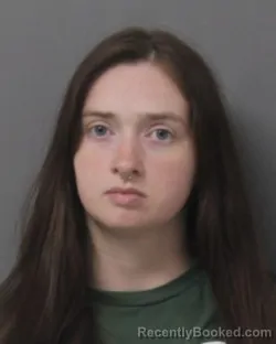 Mugshot of ALLISON MAE AMES