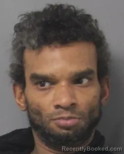 Booking photo from Steuben County, New York