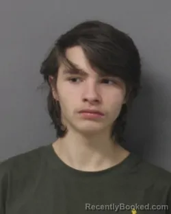 Mugshot of BRYCE ANTHONY MCELWEE