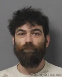 Mugshot of DYLAN JACKSON WALKER