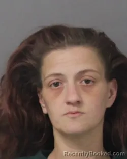 Mugshot of REBECCA ANN GARRISON booked in Steuben County, New York on April 23, 2026