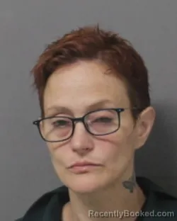 Mugshot of DEANNA MARIE LEWIS booked in Steuben County, New York on June 3, 2026