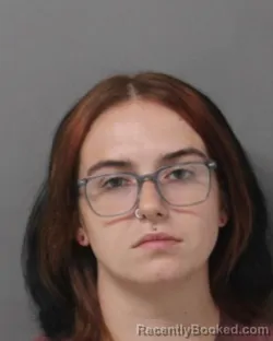 Mugshot of BRIANNA MARIE YORK booked in Steuben County, New York on June 10, 2026