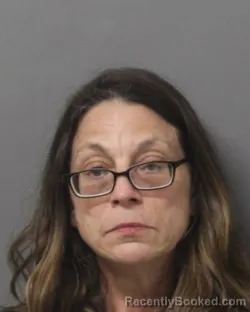 Mugshot of CRYSTAL MARIE SWANSON booked in Steuben County, New York on June 14, 2026