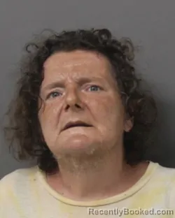 Mugshot of JILL M STERNBERG booked in Steuben County, New York on July 5, 2026