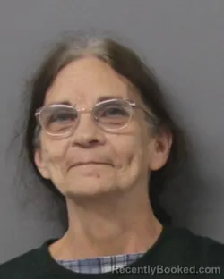 Mugshot of Jill Elaine Shepherd booked in Steuben County, New York on August 17, 2026