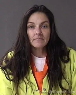 Booking photo from Ulster County, New York