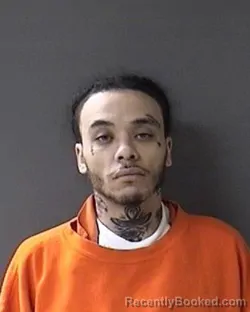 Booking photo from Ulster County, New York