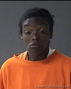Mugshot of Jadeesha Gaines booked in Ulster County, New York on September 6, 2026