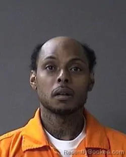 Mugshot of Dushan Wilson