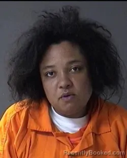 Mugshot of April L Floyd