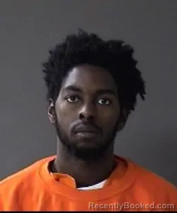 Booking photo from Ulster County, New York