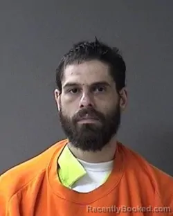 Mugshot of Brian L Damark