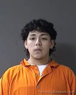 Mugshot of Leonardo S Trejo-Camacho booked in Ulster County, New York on April 24, 2026