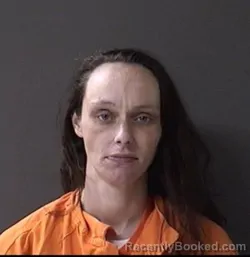 Mugshot of Brandy L Johnson booked in Ulster County, New York on October 20, 2026