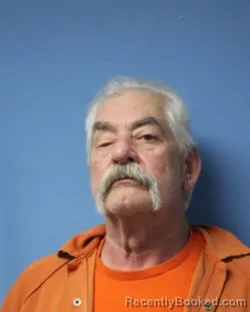 Mugshot of RONALD D LANNING