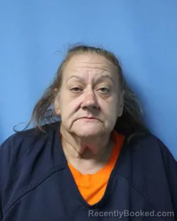 Mugshot of JULIE A WILL booked in Wayne County, New York on June 2, 2026