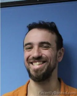 Mugshot of MICHAEL Z GILPIN booked in Wayne County, New York on March 17, 2026