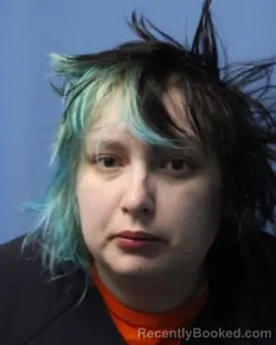 Booking photo from Wayne County, New York