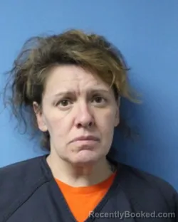 Mugshot of STACY LYNN SAWYER booked in Wayne County, New York on June 9, 2026