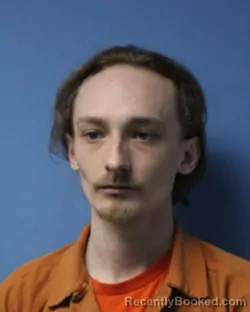 Mugshot of AAREN M LAYTON