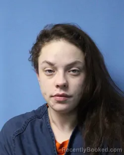 Mugshot of CHLOE ELIZABETH GOODMAN booked in Wayne County, New York on June 27, 2026