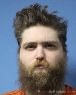 Mugshot of DAVID D PERRY